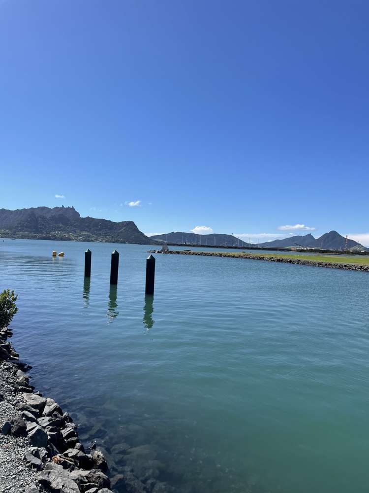 2 Paradise Point Place One Tree Point_29