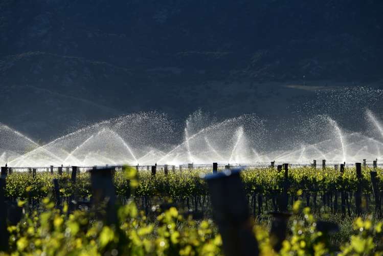 Ata Mara, 1427 Luggate-Cromwell Road and 67G Rush Lane Mount Pisa_10