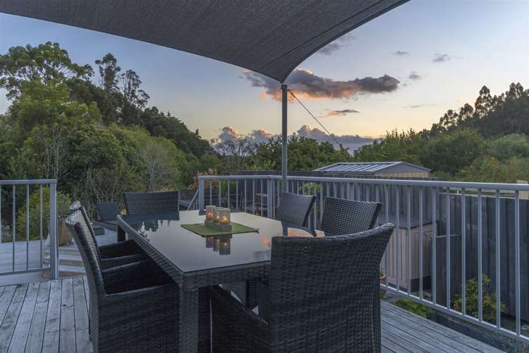 39 Dayna Avenue Ohauiti_4