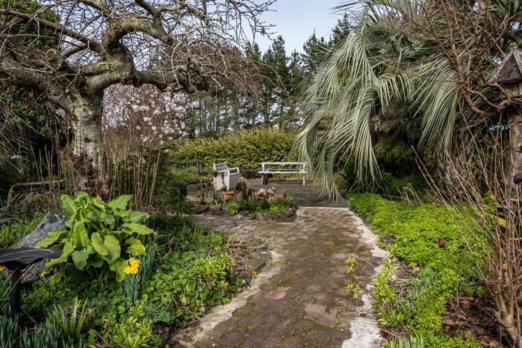 12 Howden Road Whatawhata_10