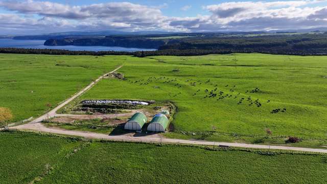 550 Puketapu Road Marotiri_4