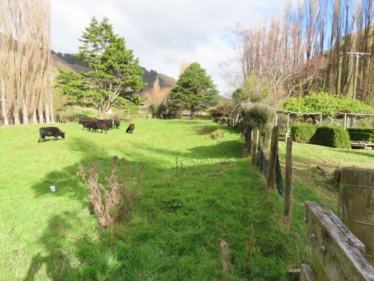 2113 Waitahora Road Dannevirke_22