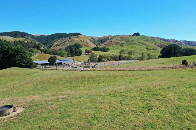 Tararua Road Pahiatua_20