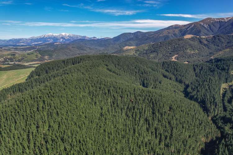 245 Sladdens Bush Road_1