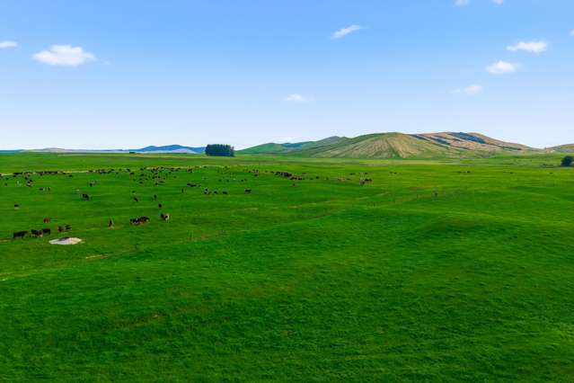 Substantial dairy operation near Taupō