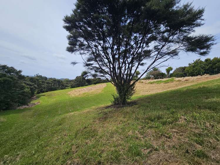 216 Three Oaks Drive Dairy Flat_7