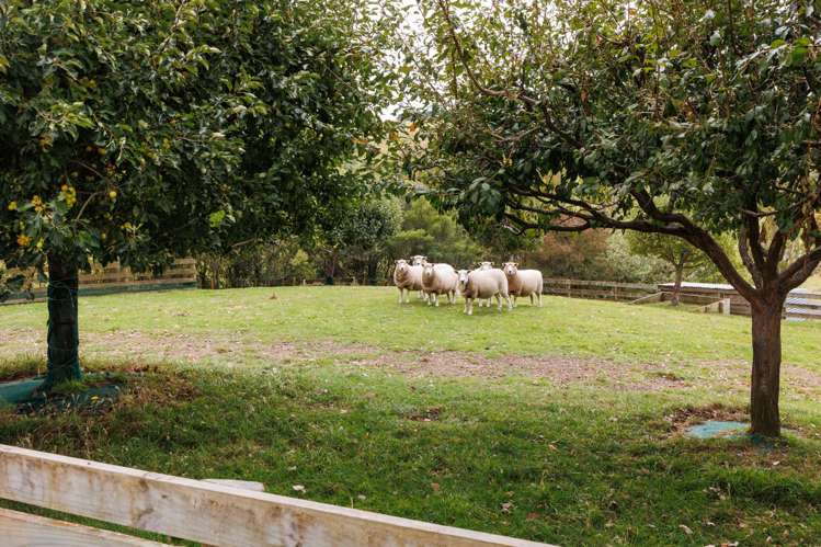 1141 Makino Road Halcombe_30