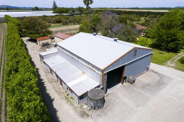 288 Lavenham Road Patutahi_3