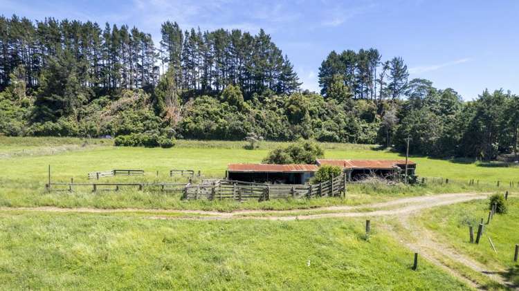 83385 State Highway 2 Eketahuna_6