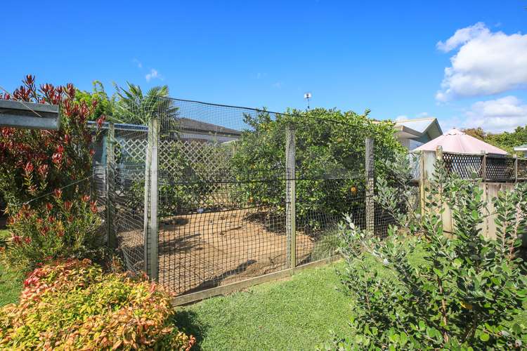 152 Mandeno Street Te Awamutu_21