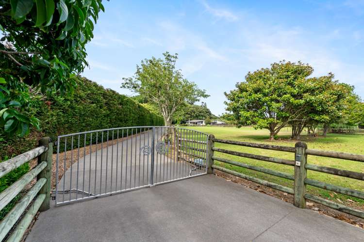 694 Ngunguru Road Glenbervie_25