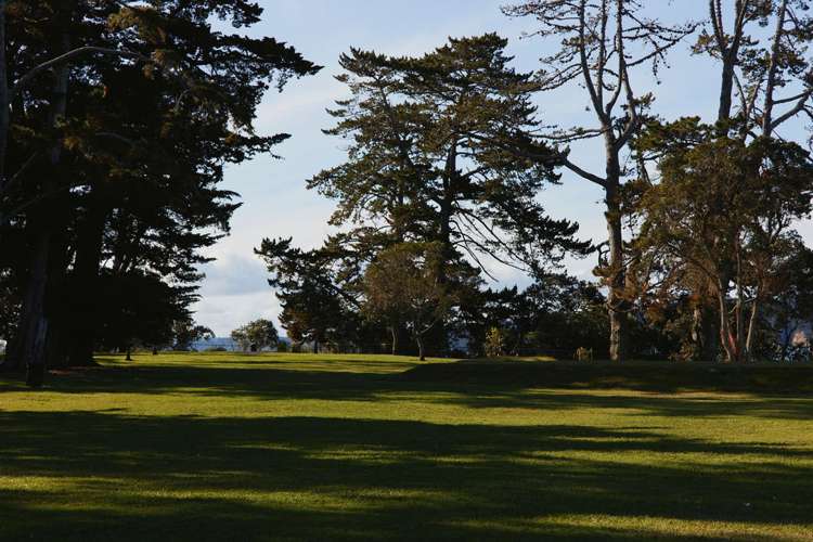 16 Joan Street Point Chevalier_15