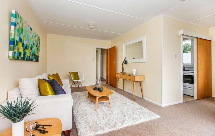 28 Puriri Street Miramar_4