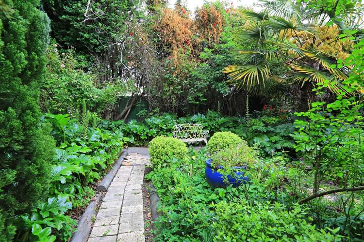 604 Saint Aubyn Street West Saint Leonards_16