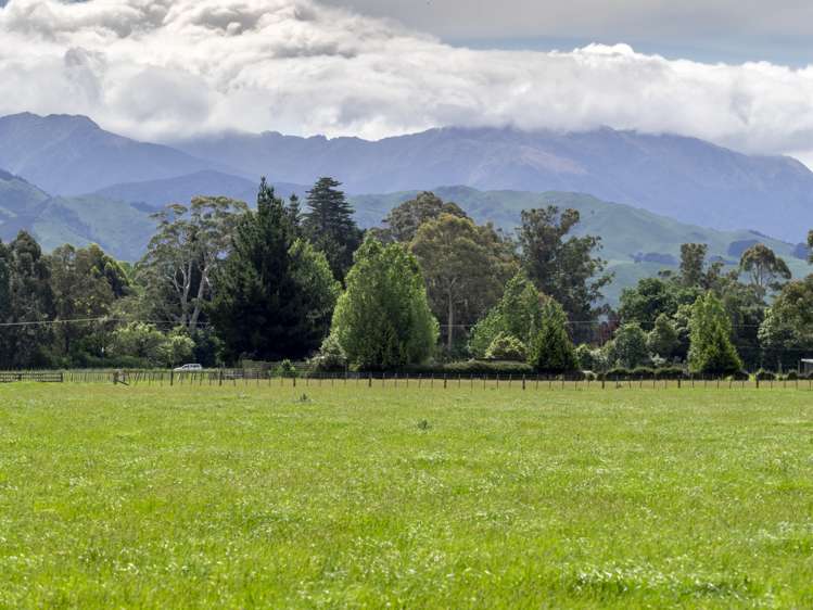 East Taratahi Road Carterton_8