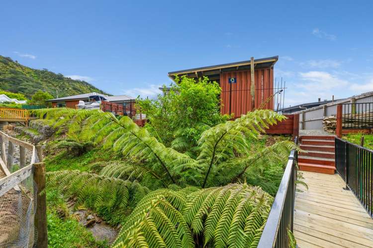 9 McLean Drive Havelock_38