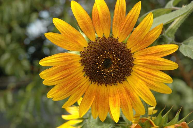 107 Percival Street Rangiora_14