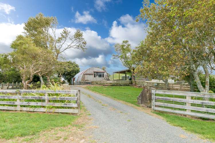 471 Sainsbury Road Pirongia_0