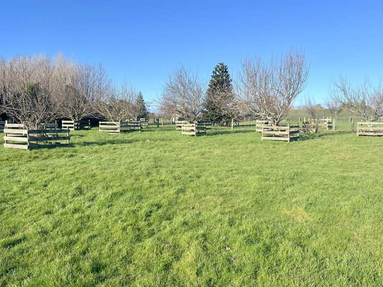 432a Lorne Dacre Road Roslyn Bush_32