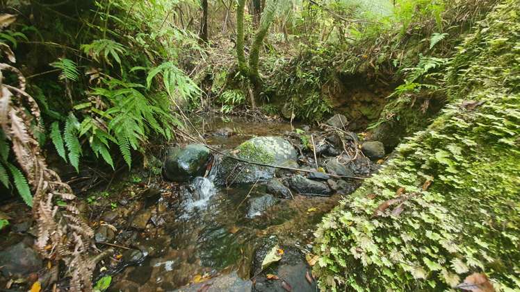 574 Honeymoon Valley Road Peria_13