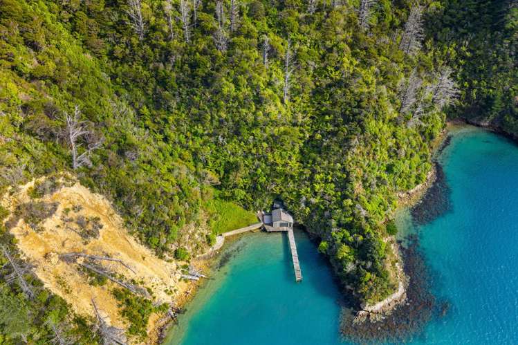 Sec 9 Maraetai Bay Queen Charlotte Sound_9