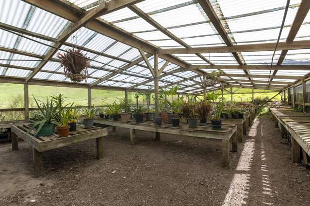 1982 Diggers Valley Road Kaitaia Surrounds_3