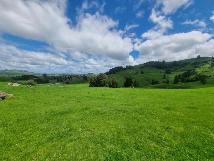 Lot (Rural)/1246 State Highway 3 Piopio_18