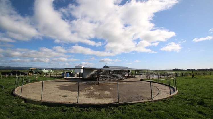 98 Mccracken Road Edgecumbe_1