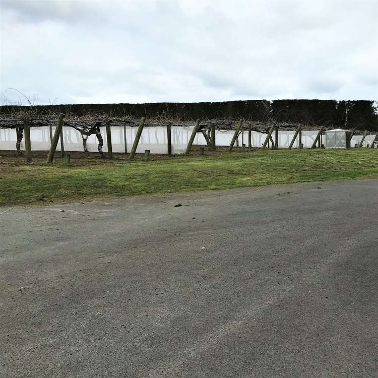 162 Waimea Drive Te Puke_8