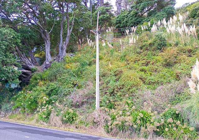 820 Thames Coast Road Te Mata_3