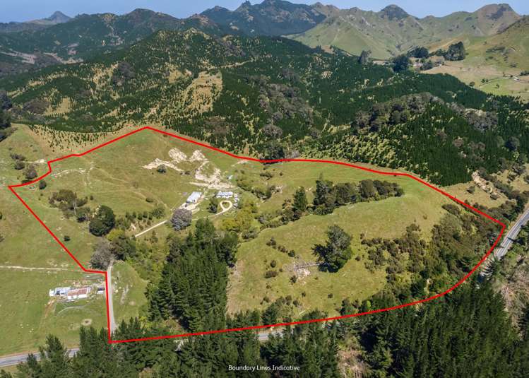 2010 Te Wharau Road Te Wharau_16