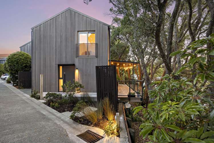 19 Foundries Lane Freemans Bay_0