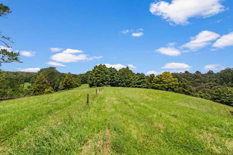 76 Forest View Road Kamo_26