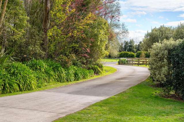 186b Holland Road Puketaha_3