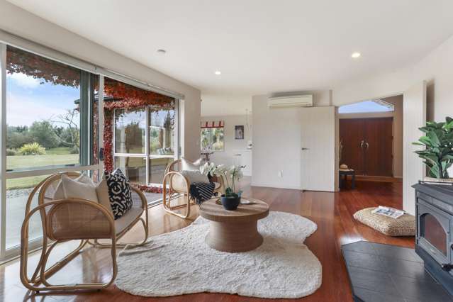 37 Alessio Lane Swannanoa_4