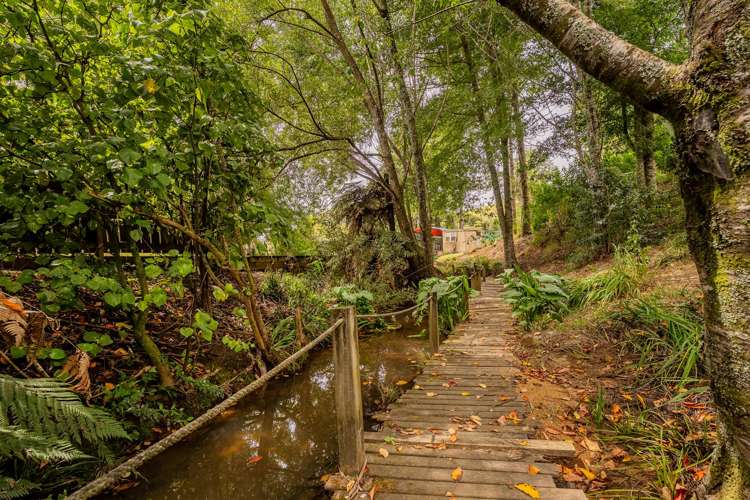 365 Mill Creek Road Whitianga_55