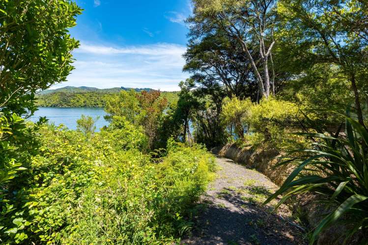 Lot 1 Double Cove Queen Charlotte Sound_19