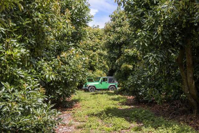 22 Ongare Point Road Katikati_4