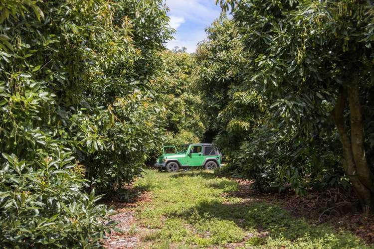 22 Ongare Point Road Katikati_4