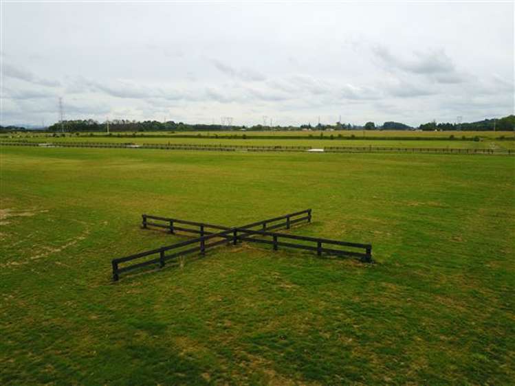 8 Margot Lane Matangi_17