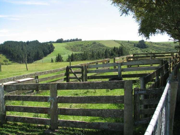 37 Mcneil Street Balclutha_18