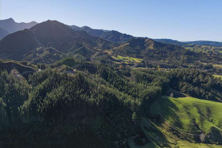 Graham Valley Road Motueka Valley_10