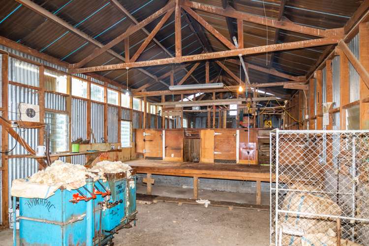 55 Dinda Road Waitohi_13