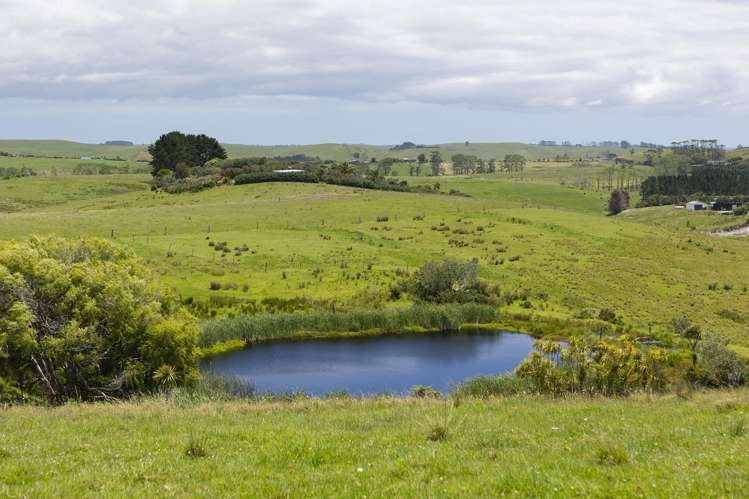 39 Taipa View Road Taipa_3