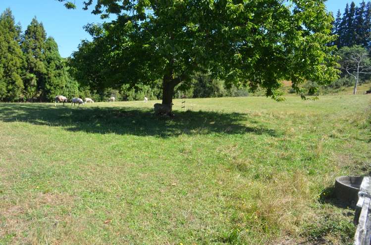 2 Peers Road Kaimai_28