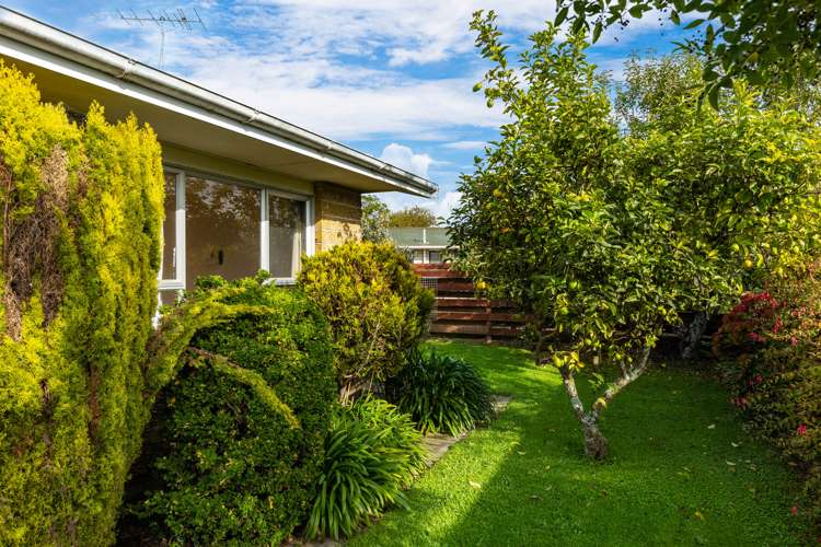 10c Eltham Road Blenheim Central_23