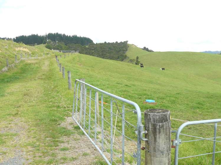 807 Puketona Road Haruru_13