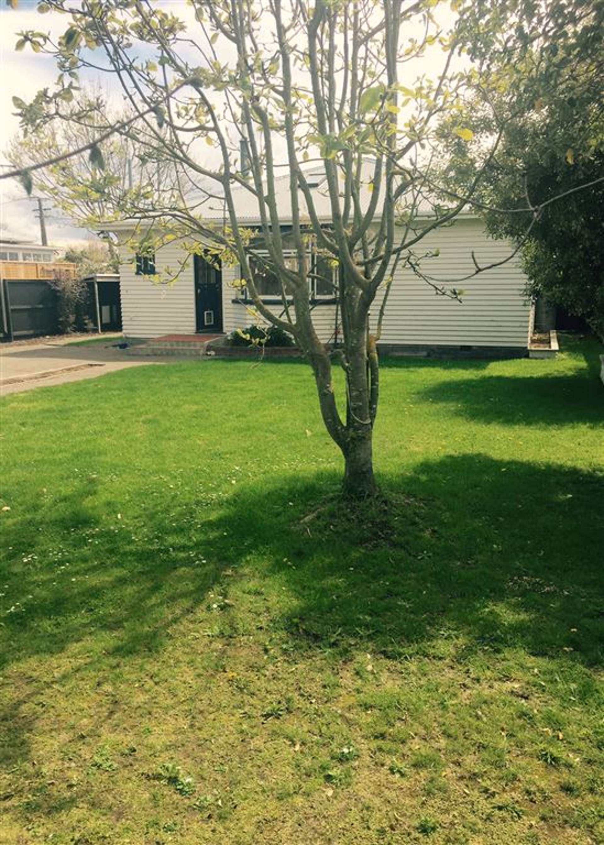 60 Frank Street Papanui_0