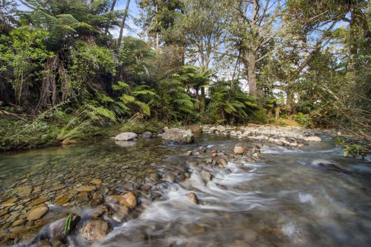 383a Lockington Road Aongatete_23