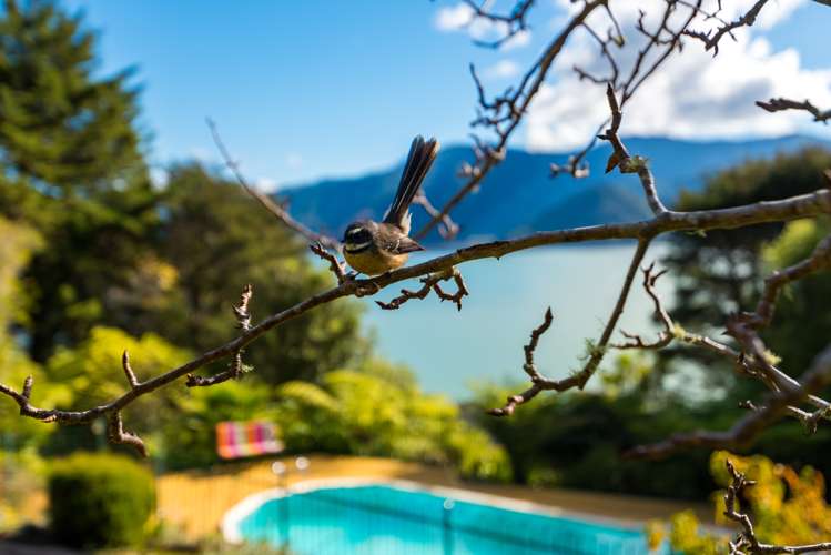 259 Queen Charlotte Drive Havelock_24